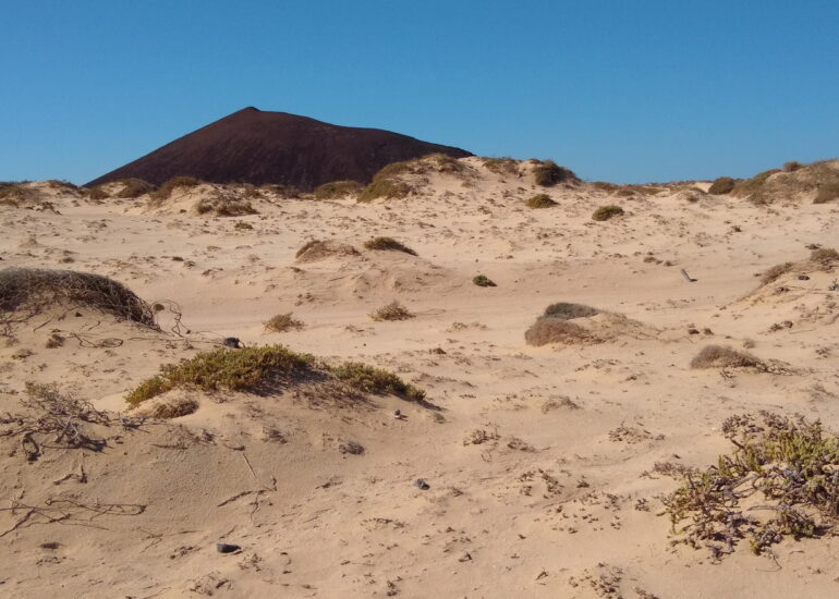 20. La Graciosa - la côte au nord