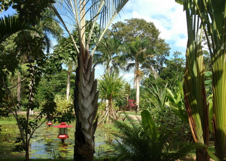 20. Le parc somptueux de la marina
