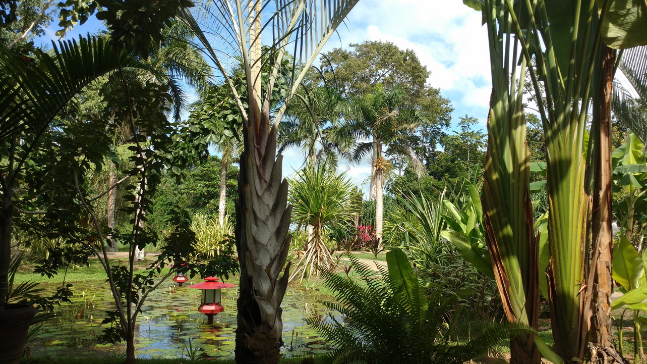 20. Le parc somptueux de la marina