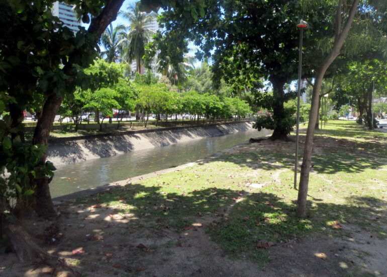 20. Recife, sa promenade ombragée