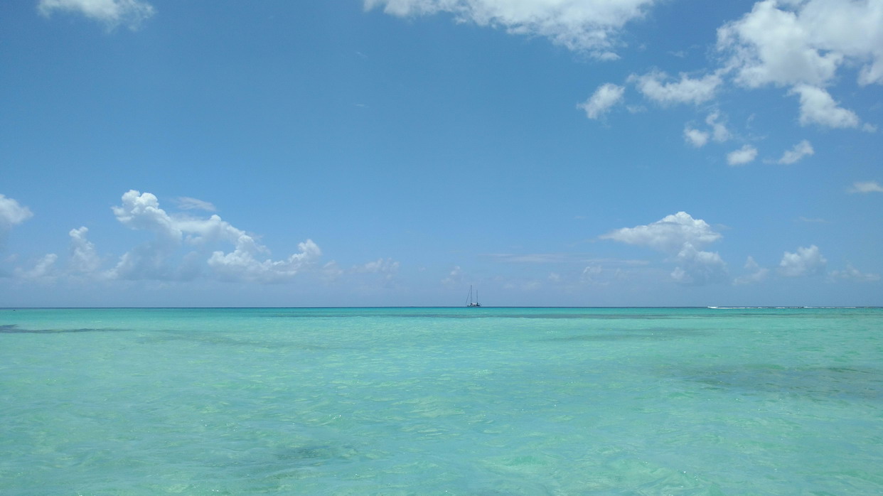 20. Tout ça... pour ça...