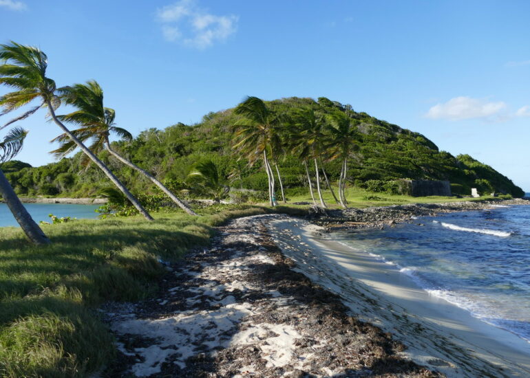 21. Mayreau, Salt whistle bay