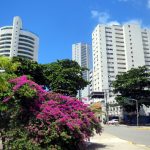 21. Recife, un quartier moderne