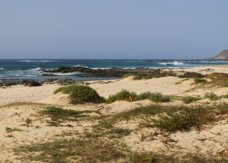 22. Côte au nord de Sal Rei