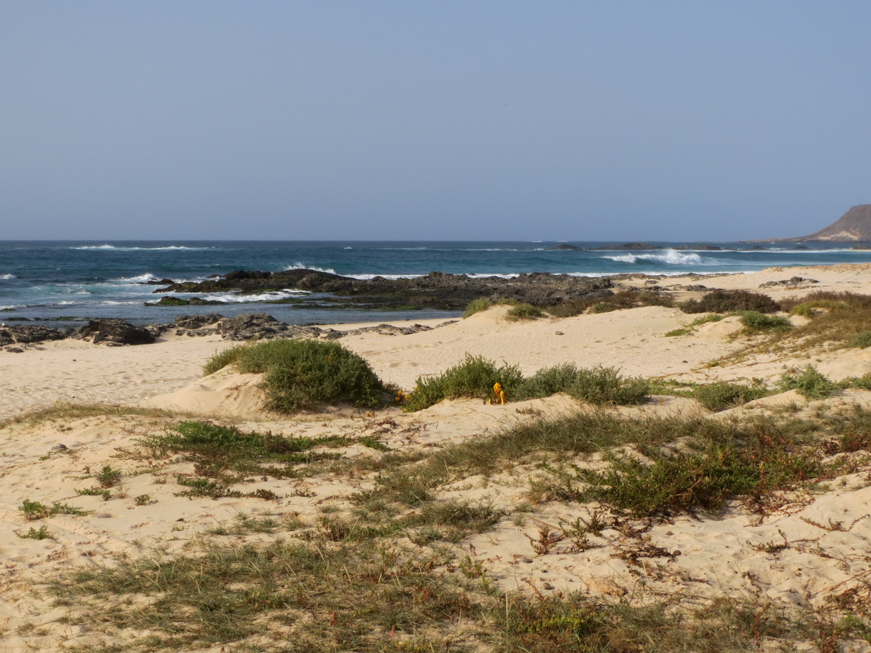 22. Côte au nord de Sal Rei