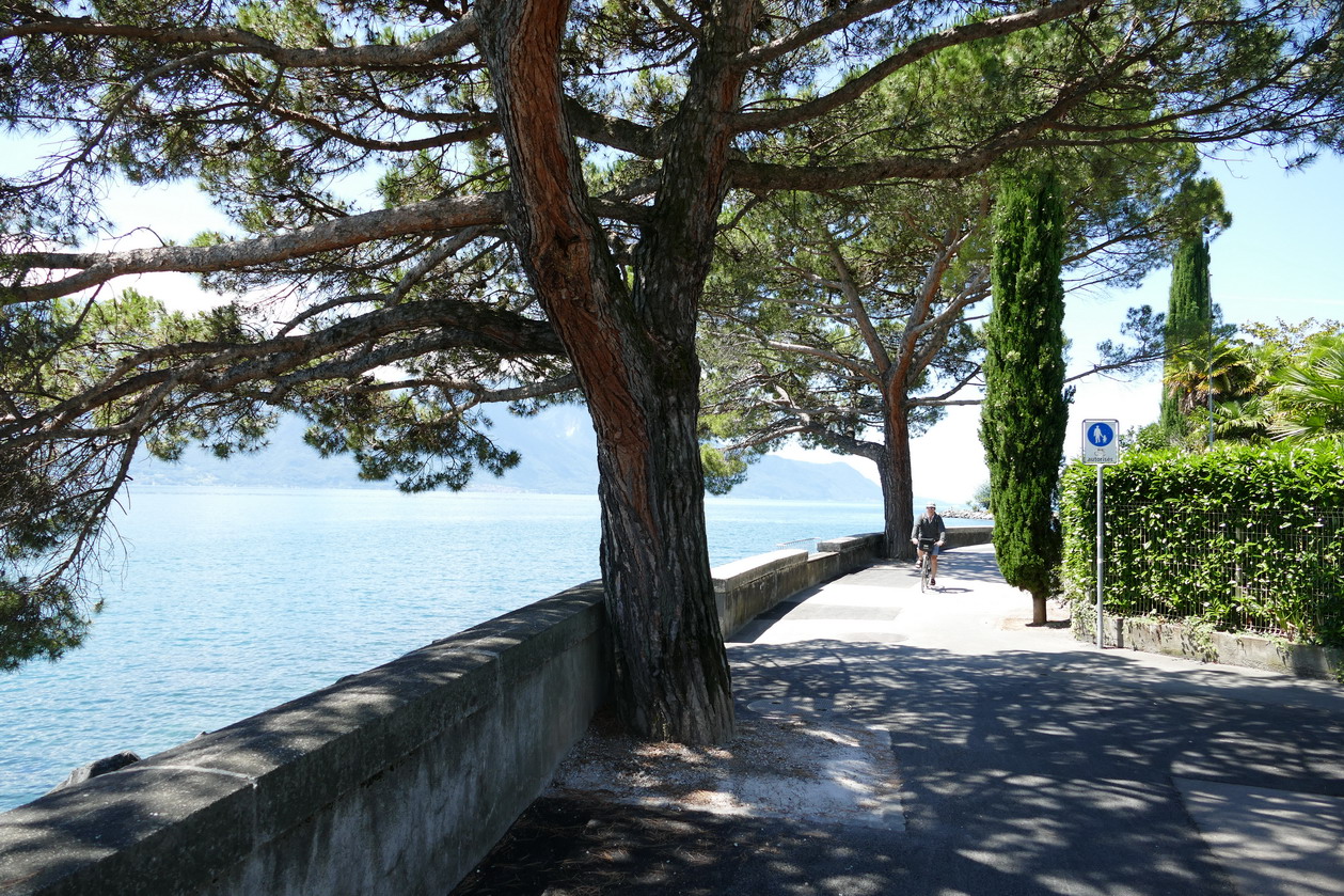 22. Lac Léman - Montreux