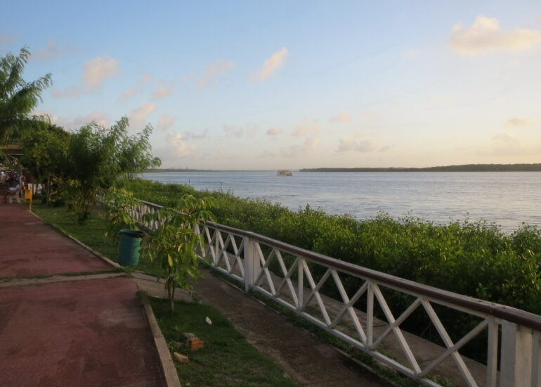 22. Le Paraiba du côté amont, les tours de Joao Pessoa apparaissent dans au loin
