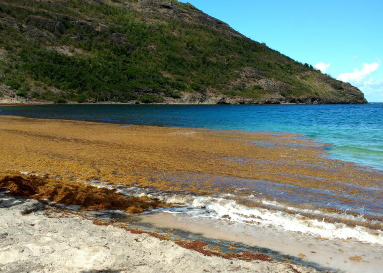 22. Les Saintes