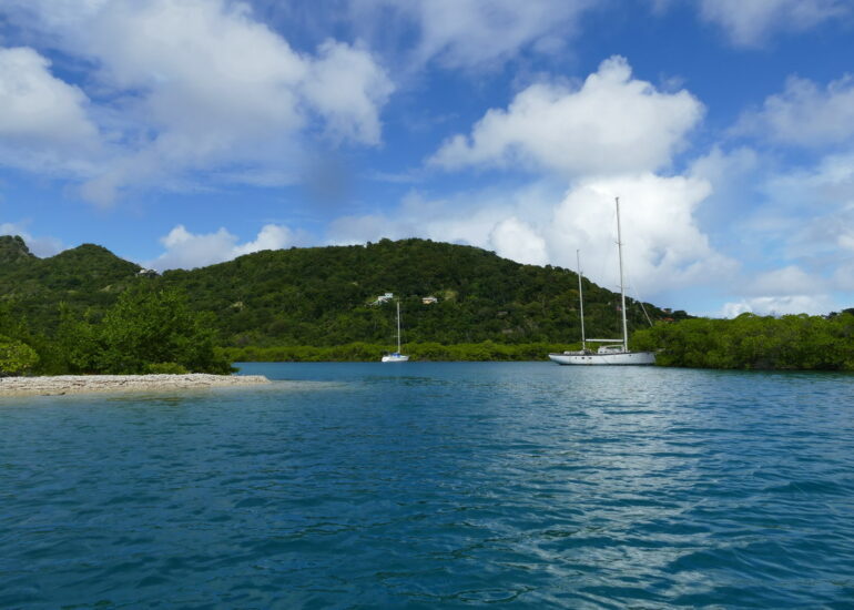 22. Mangrove et trou à cyclone