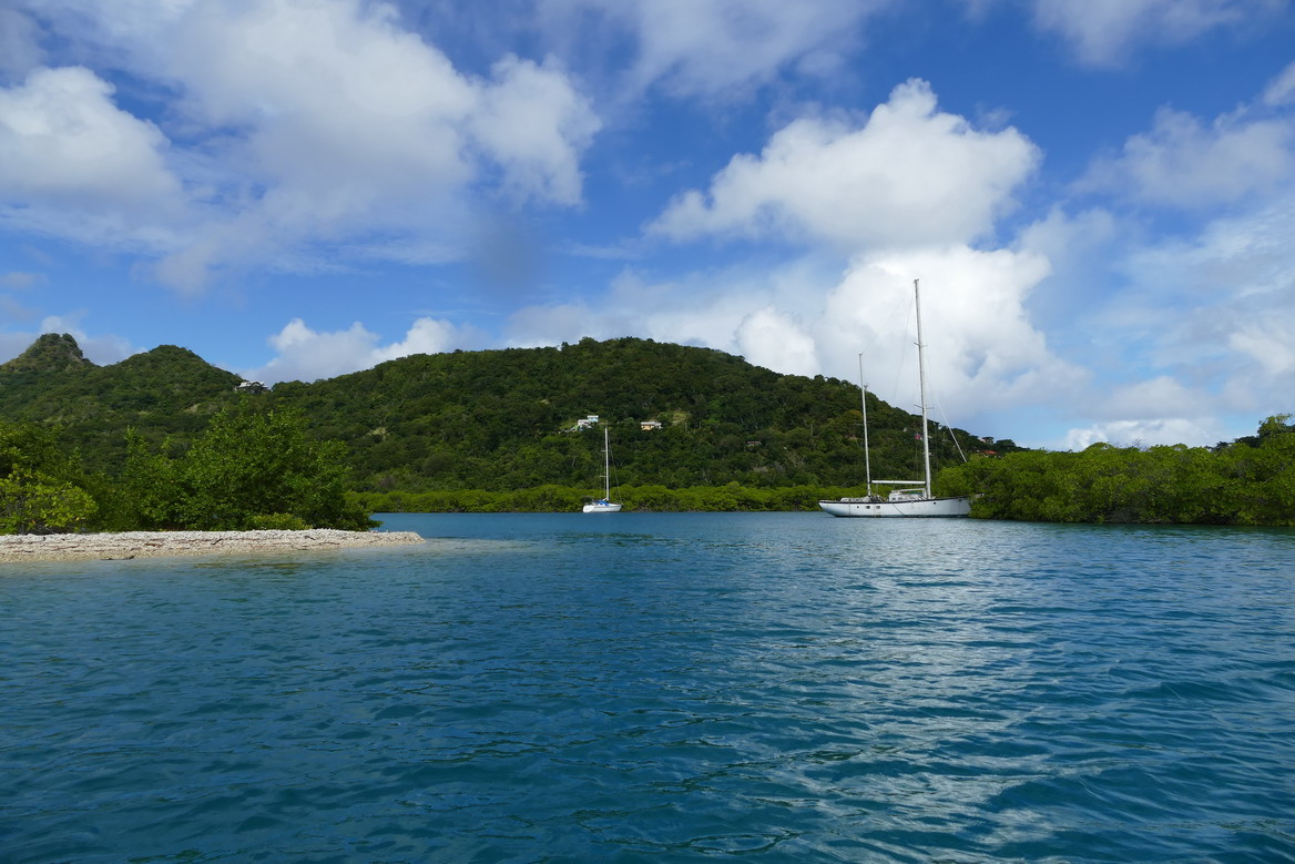 22. Mangrove et trou à cyclone