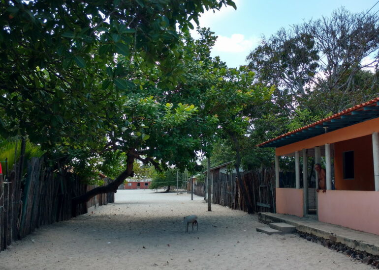 23. Bate Vento, l'épicerie locale, frutas e verduras