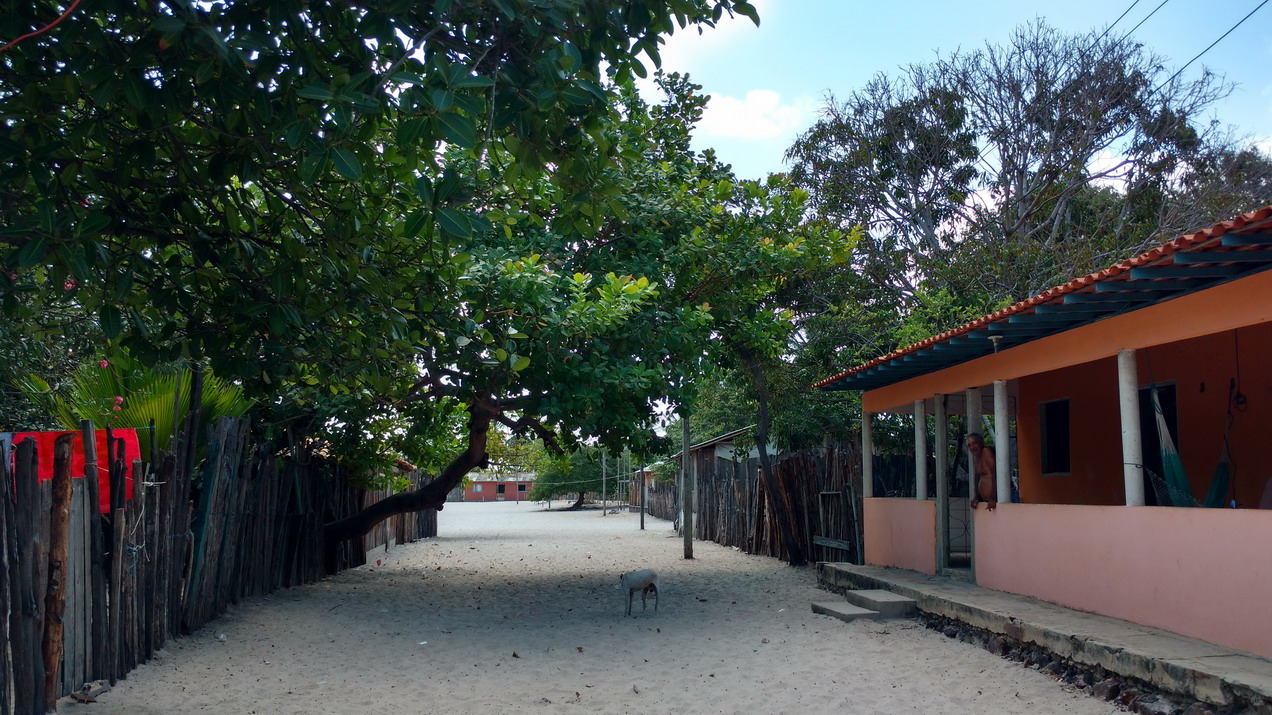 23. Bate Vento, l'épicerie locale, frutas e verduras