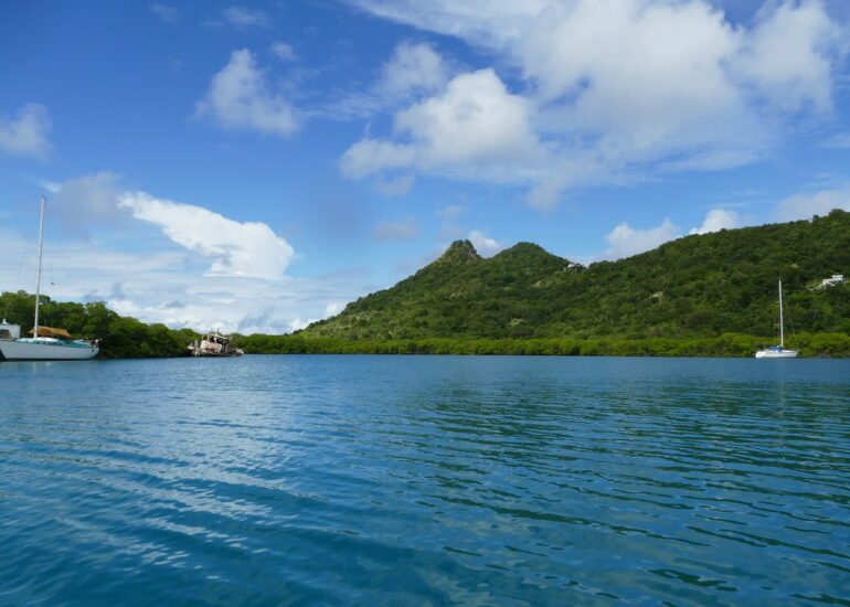 23. Mangrove et trou à cyclone