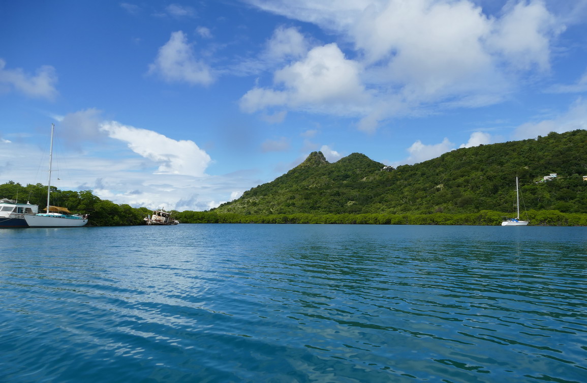 23. Mangrove et trou à cyclone