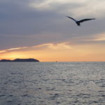 23. Sant Antoni, un tel ciel n'annonce rien de bon !