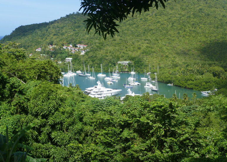 23. Ste Lucie, Marigot harbour, vue panoramique