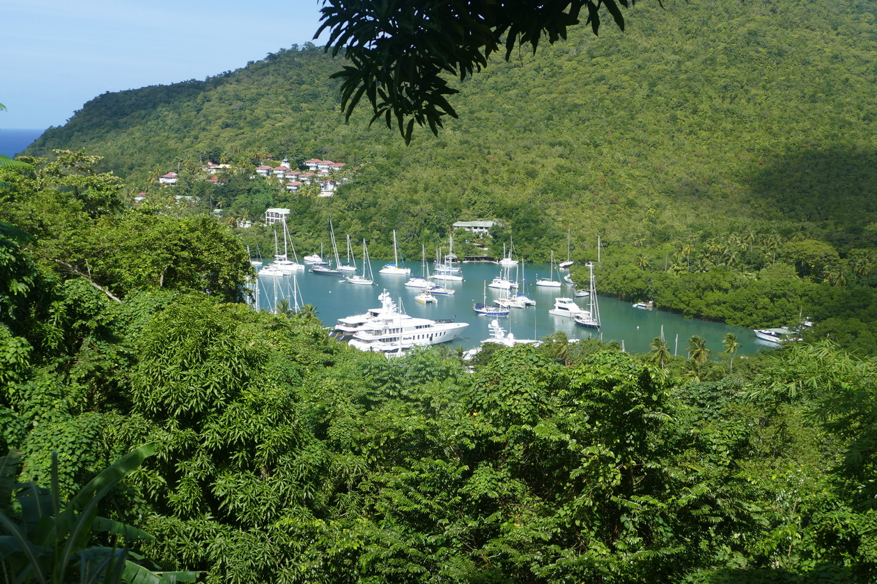 23. Ste Lucie, Marigot harbour, vue panoramique