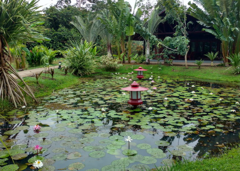 24. Le parc somptueux de la marina