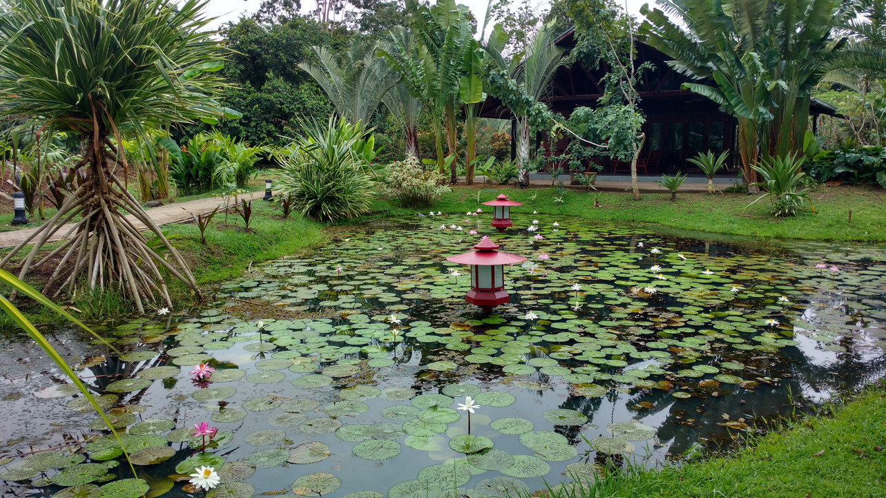 24. Le parc somptueux de la marina