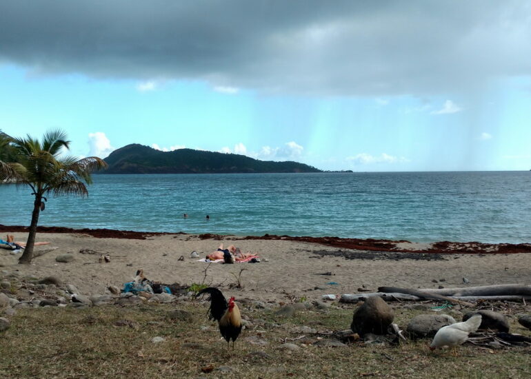 24. Les Saintes