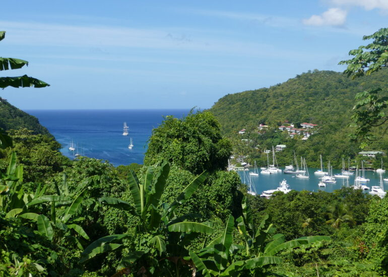 24. Ste Lucie, Marigot harbour, vue panoramique