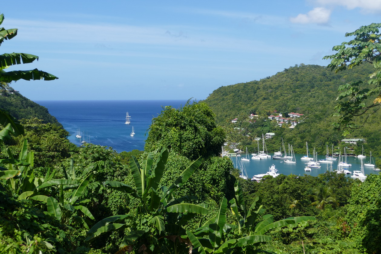 24. Ste Lucie, Marigot harbour, vue panoramique