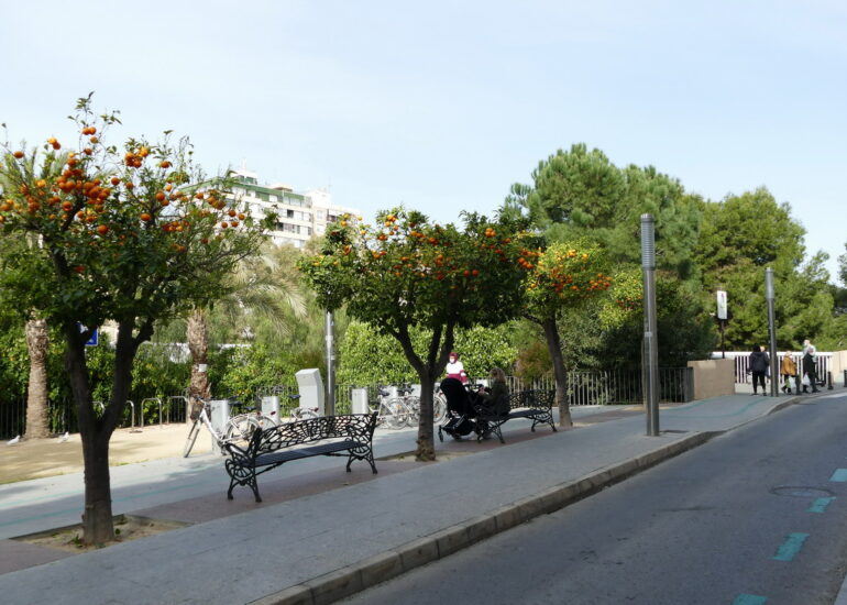 25. Elche - le centre-ville