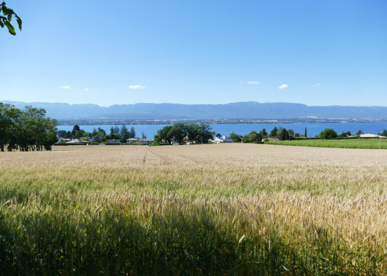 25. Lac Léman