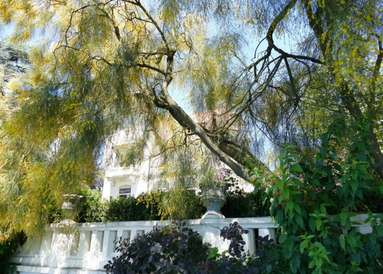 25. Lac Léman - Montreux