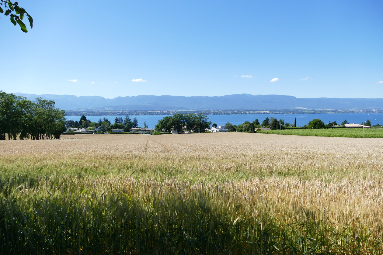 25. Lac Léman