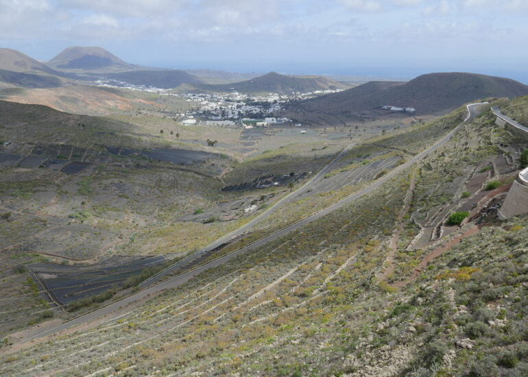 25. Lanzarote reverdit