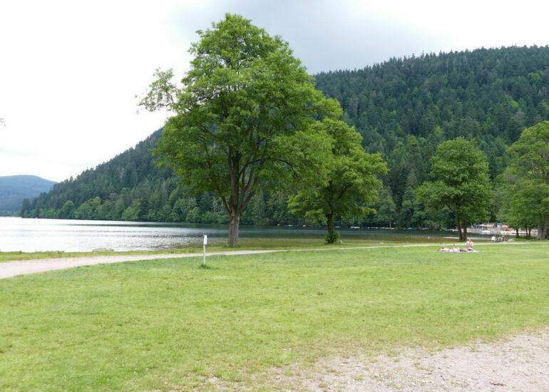 25. Le lac de Xonrupt-Longemer
