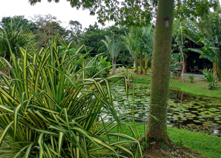 25. Le parc somptueux de la marina