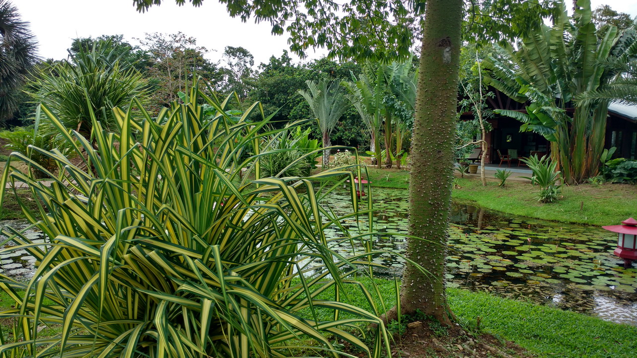 25. Le parc somptueux de la marina