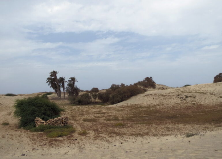 25. Les dunes du nord