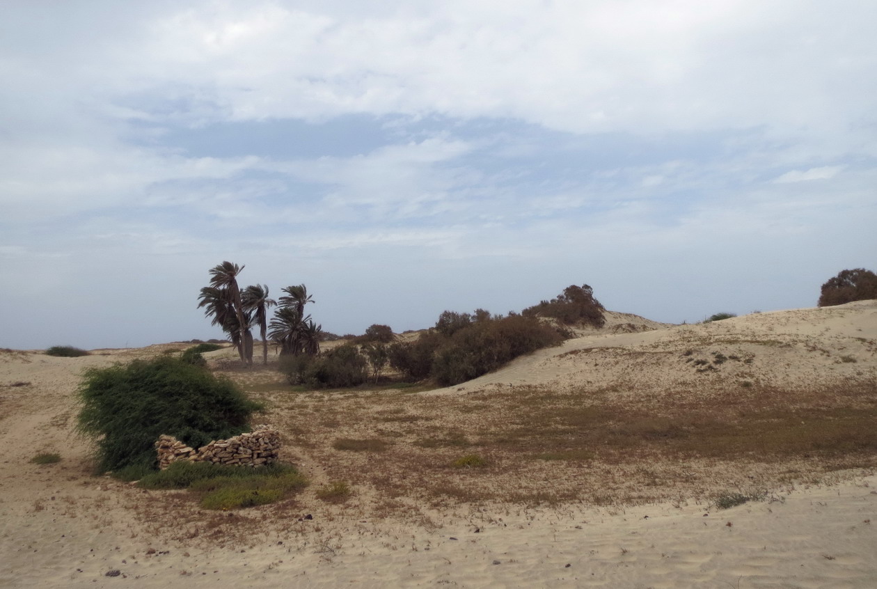 25. Les dunes du nord