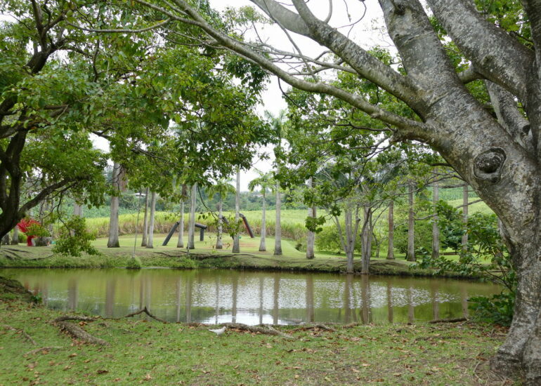 25. L'habitation Clément