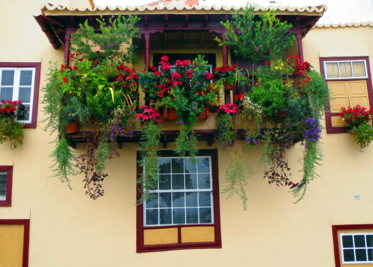 25. Santa Cruz de La Palma