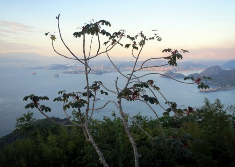 26. Du Pain de sucre vue de Niteroi, ville située de l'autre côté de la baie