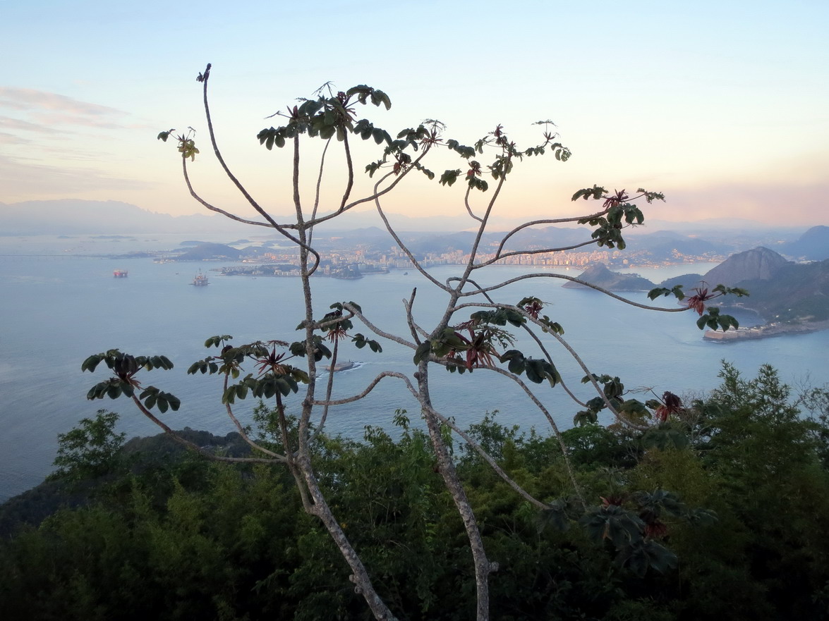 26. Du Pain de sucre vue de Niteroi, ville située de l'autre côté de la baie