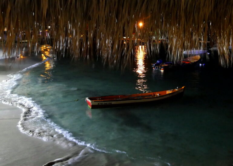 26. La Martinique, Ste Anne, de la Dunette, restaurant de bord de mer