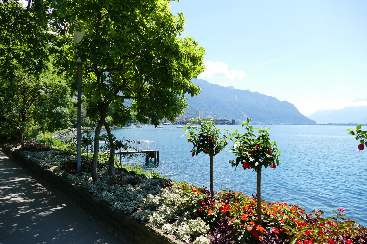 26. Lac Léman - Montreux