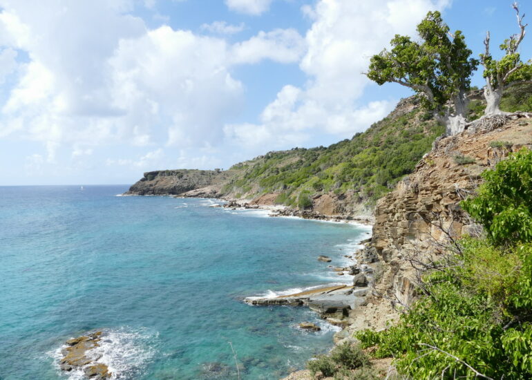 27. Antigua, English harbour, la côte