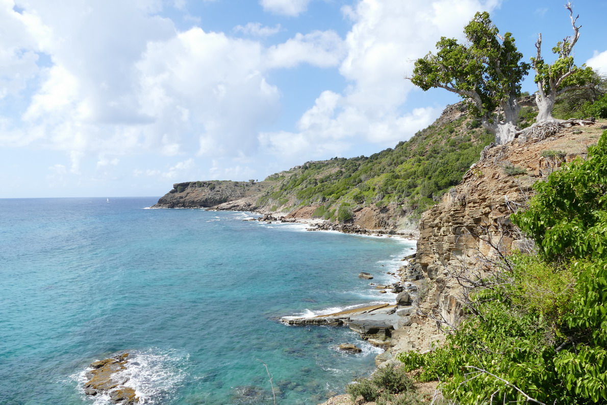 27. Antigua, English harbour, la côte