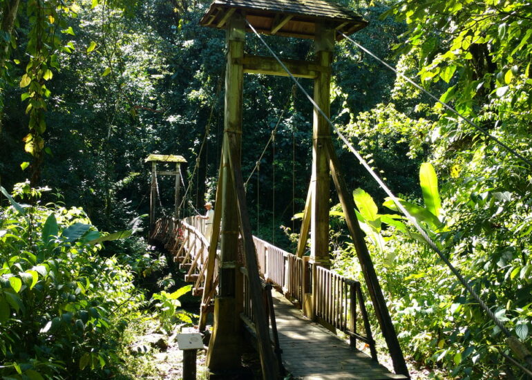 27. Deshaies, le jardin botanique