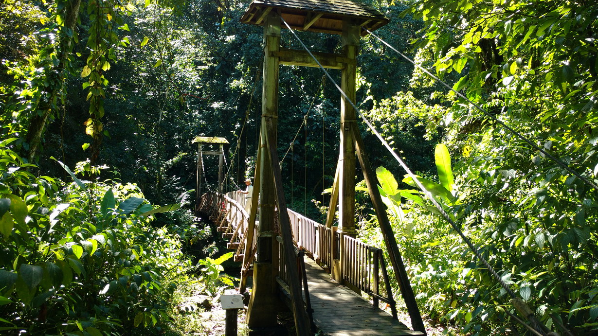 27. Deshaies, le jardin botanique