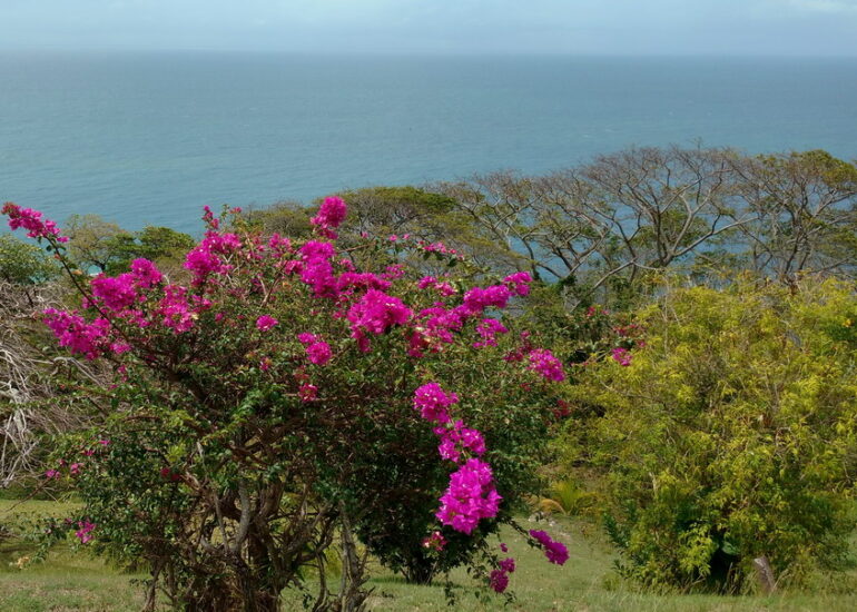 27. Fort King George