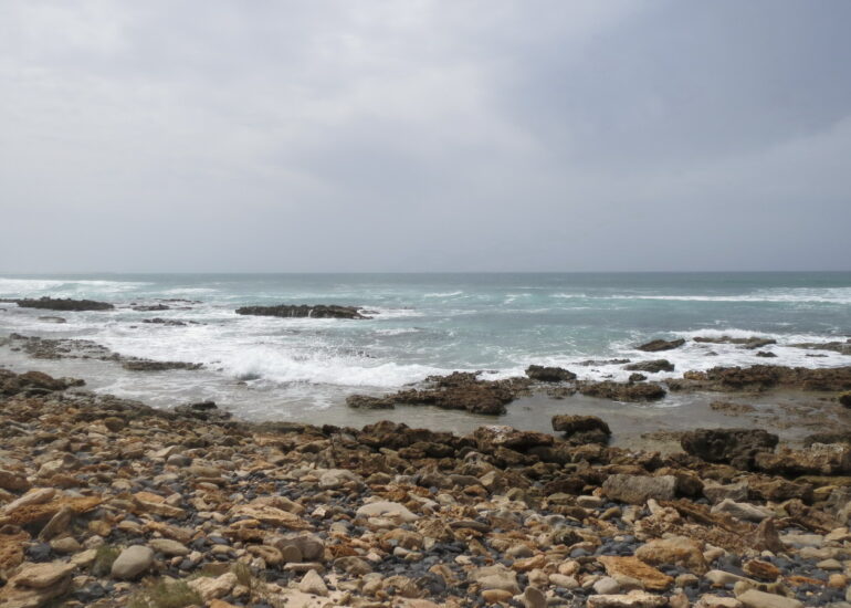 27. La côte sauvage au nord