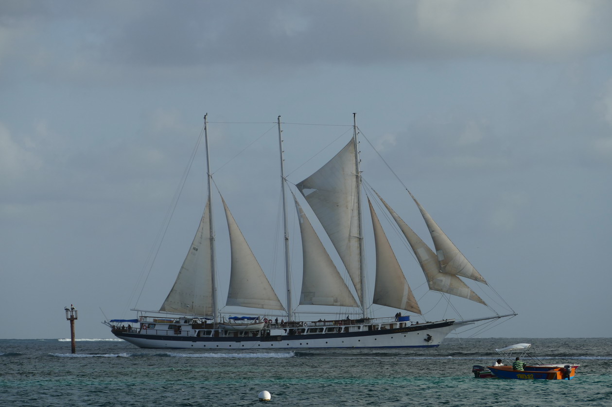 27. Les boat boys, un peu pirates sur les bords, imaginent tout ce qu'ils pourraient vendre aux passagers de ce fier voilier