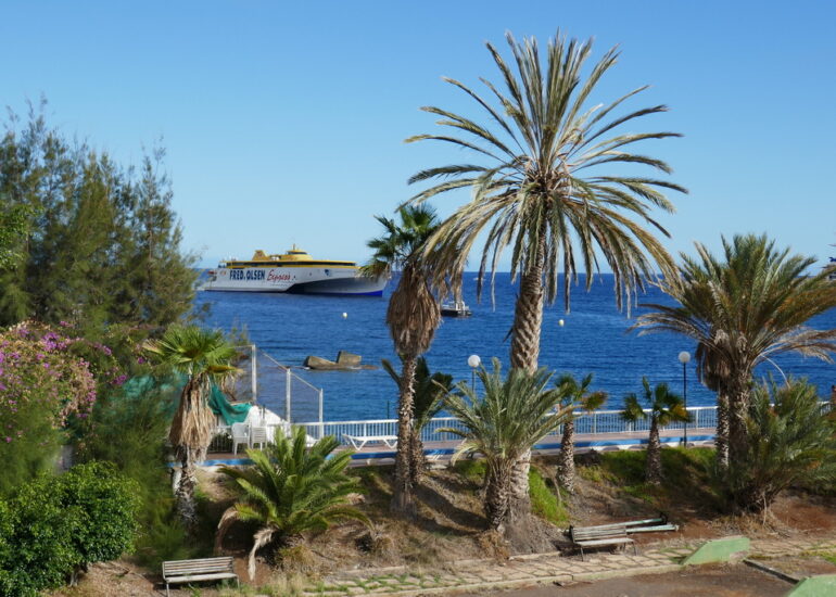 27. Ténérife nord, Santa Cruz